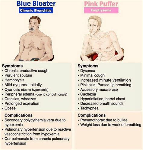 Blue Bloater vs Pink Puffer - MEDizzy