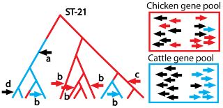 Toward the Use of Genomics to Study Microevolutionary Change in ...