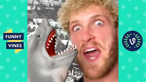 TRY NOT TO LAUGH - FUNNY SHARK PUPPET Videos! - YouTube