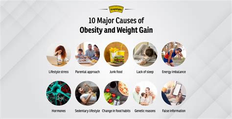 10 Major Causes of Obesity and Weight Gain | Truweight