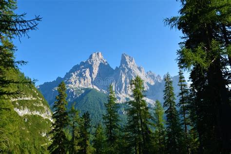 Monte Cristallo Mountain Peak in the Dolomite Alps Stock Image - Image of larch, front: 250349465