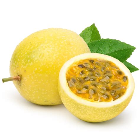 Seedling - Yellow Passion Fruit Live Plant – Aggietropicals