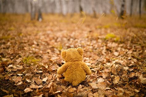 Autumn Teddy Bear Wallpapers - Wallpaper Cave