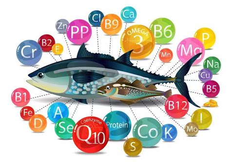 Why is the fish meal price so high? Analysis of nutritional value of ...