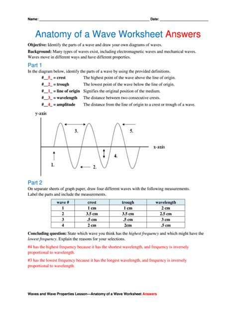 Anatomy Of A Wave Worksheets Answers - Printable Worksheets