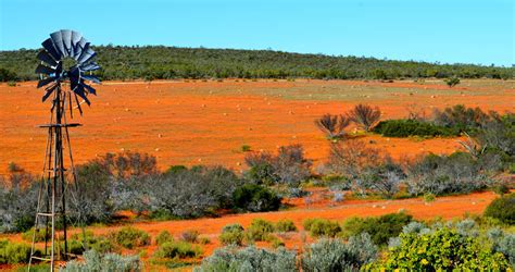 The Namaqua National Park