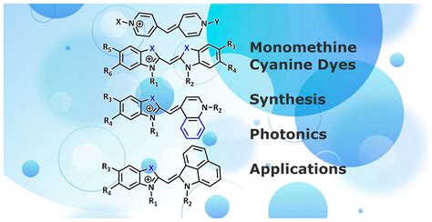 Chemosensors | Free Full-Text | Fluorescent Probes for Biomacromolecules Based on Monomethine ...