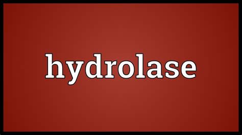 Hydrolase Meaning - YouTube