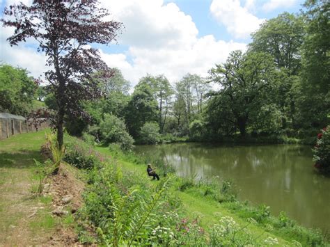 Coombe Water Fishery | Coombe Farm - Devon