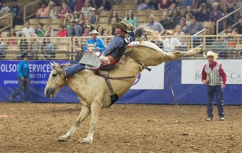 Buy Silver Spurs Rodeo Tickets