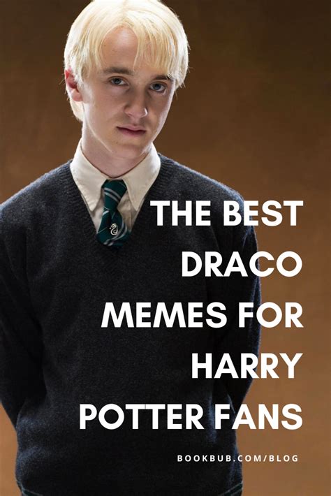 15 Draco Memes Guaranteed to Make Potterheads Laugh Out Loud in 2021 ...