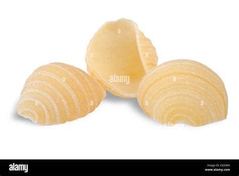 Conchiglie hi-res stock photography and images - Alamy