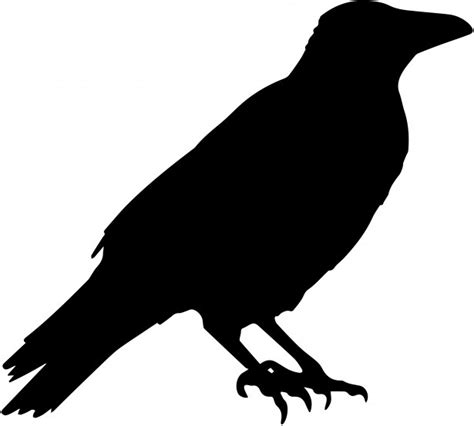 Crow Vector Silhouette Free Stock Photo - Public Domain Pictures