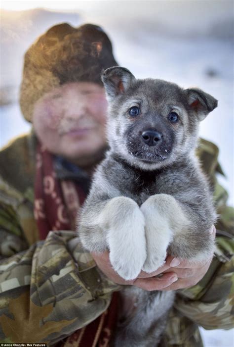 The coldest permanently inhabited settlement in the world - Oymyakon, Siberia, Russia Russian ...