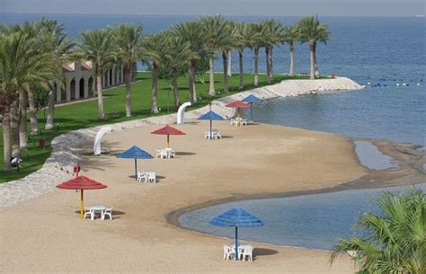 Eastern Dates Al Khobar - 2020 All You Need to Know Before You Go (with Photos) - Al Khobar ...