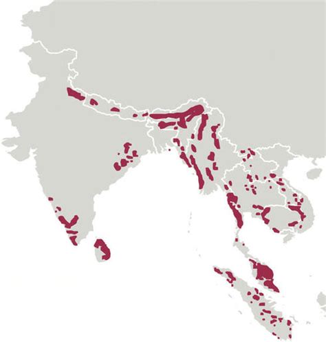 Where Do Elephants Live Map