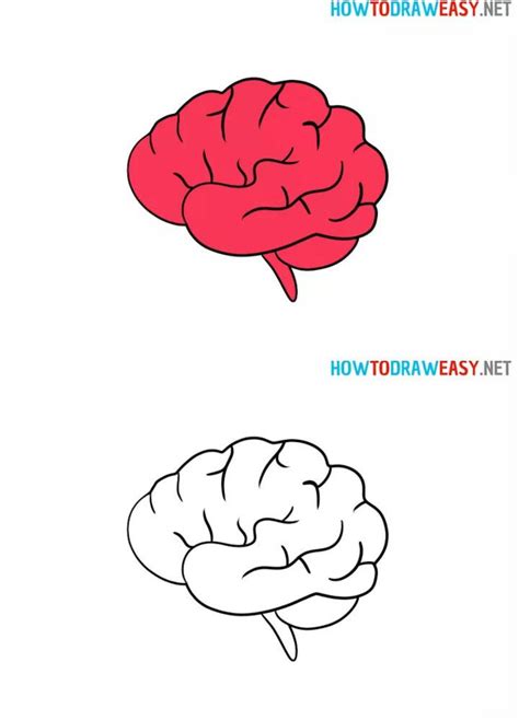 20 Easy Brain Drawing Ideas - How to Draw a Brain - Blitsy