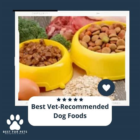 The 11 Best Vet-recommended Dog Foods of 2023