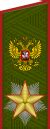 Russian Army Ranks and Insignia | Russian Federation Army Ranks Insignia Badges