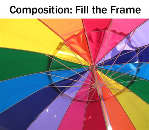 Composition: Fill the Frame | Boost Your Photography