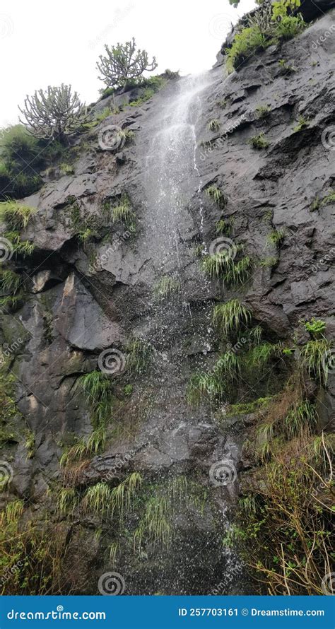 Waterfall nature at bhor stock image. Image of ridge - 257703161