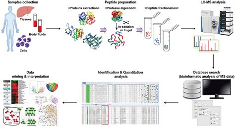 Frontiers | Application of Proteomics in Cancer: Recent Trends and ...