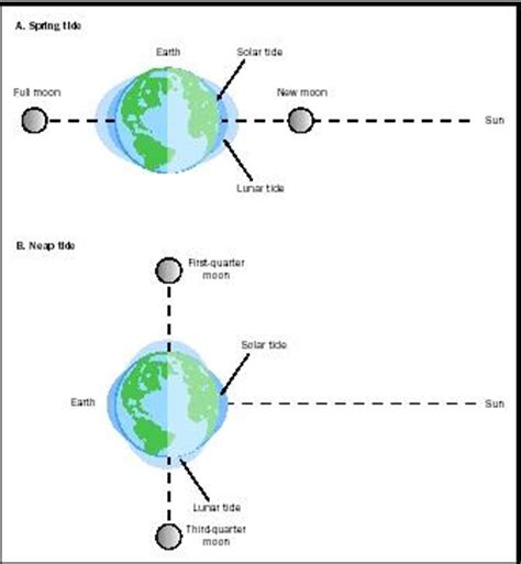 Tides - building, river, sea, depth, oceans, effects, important, largest, system