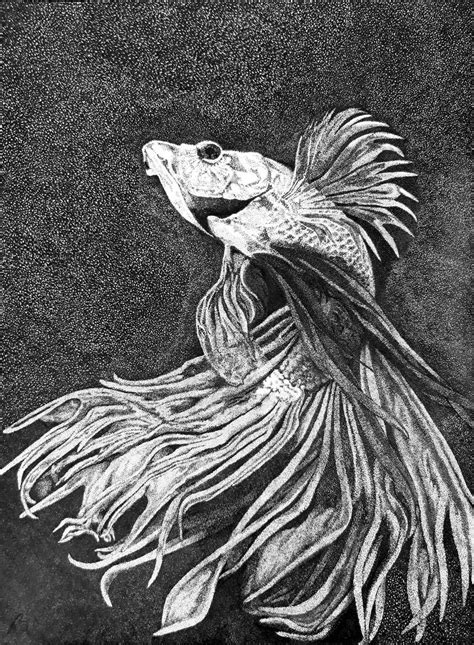 Betta fish Drawing by Nando Poluakan | Saatchi Art