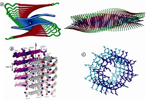 [PDF] Mechanisms of amyloid fibril formation by proteins | Semantic Scholar