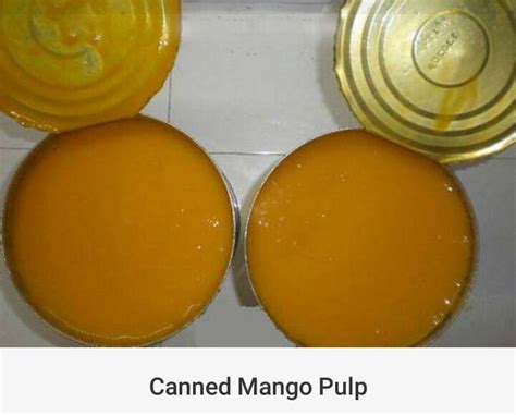 Mango Pulp - Jobner International, Delhi, Delhi