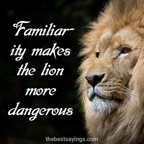 Lion King Quotes Tumblr