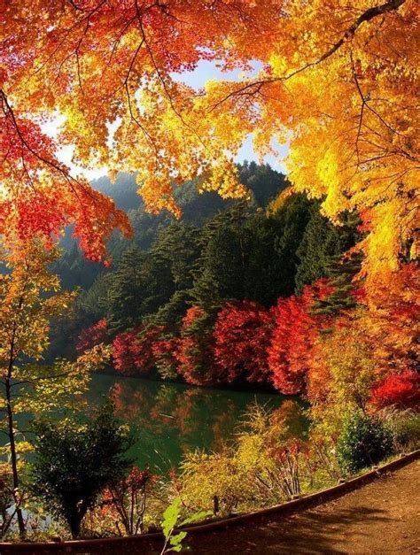 Autumn in japan | Autumn scenery, Fall pictures, Autumn scenes