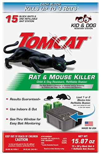 Best Mouse Traps For Outside - 10Reviewz