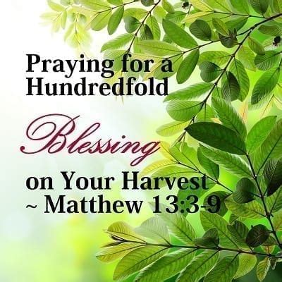 Praying for a Hundredfold Blessing on Your Harvest - Matthew 13:3-9