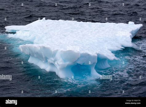 Growler (petit iceberg) flottant dans Paradise Bay, Antarctique Photo Stock - Alamy