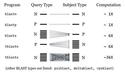 Command Line BLAST – A Primer for Computational Biology