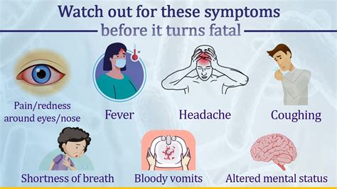 Black Fungus: Govt shares do's and don'ts amid rise in Mucormycosis ...