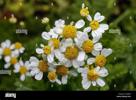 Investire nel nostro pianeta immagini e fotografie stock ad alta risoluzione - Alamy