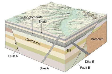 Principles of Stratigraphy - Forestry Bloq