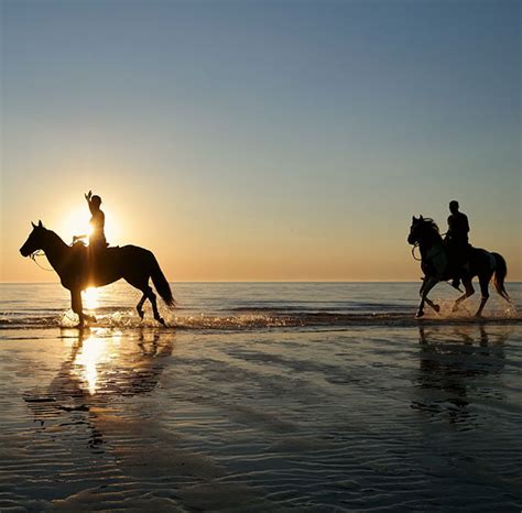 The Ultimate Agadir Beach Horse Riding Adventure | Bucket List Morocco