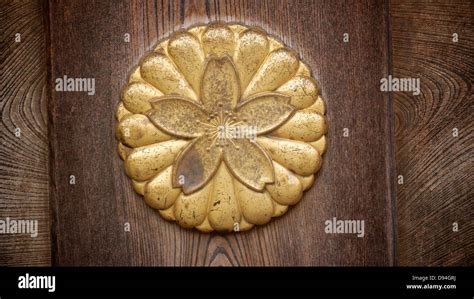 Phoque Japonais Banque d'image et photos - Alamy