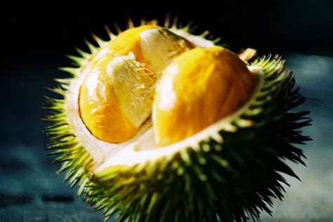 Fruit Warehouse: Kerantongan ( Durio oxleyanus )