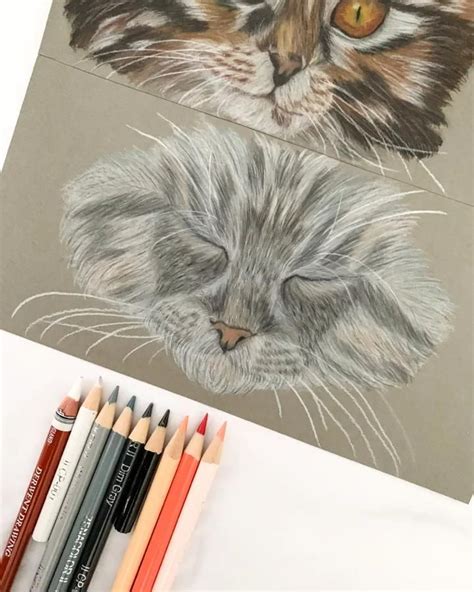 Cat Eyes Colored Pencil Drawing [Video] | Drawings, Animal portraits ...