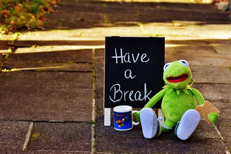 Free Images : cute, green, color, frog, yellow, coffee cup, funny, stuffed animal, kermit ...