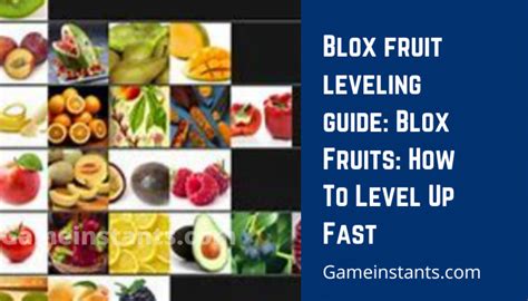 Blox Fruit Leveling Guide To Level Fast - Gameinstants