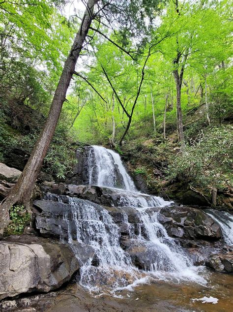 Laurel Falls Trail - Trails Near Me