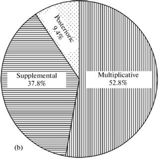 Diagrams (a) relative abundance of aberrant forms in the classes of the ...