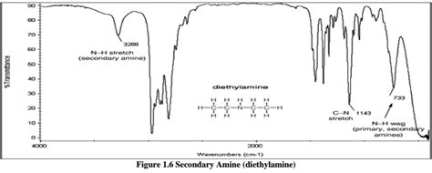 amine ftir spectrum