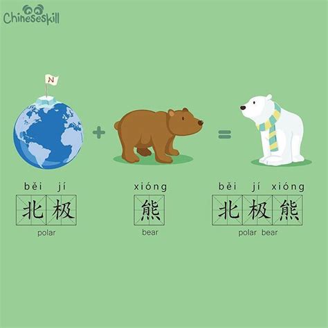 北极熊(běijíxióng) polar bear Chinese Language Words, Chinese Phrases, Chinese Language Learning ...