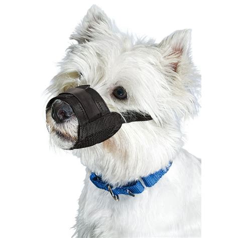 Premier Pet Dog Muzzle for Small Dogs - Padded Nylon for Safe, Comfortable Fit - Allows Panting ...